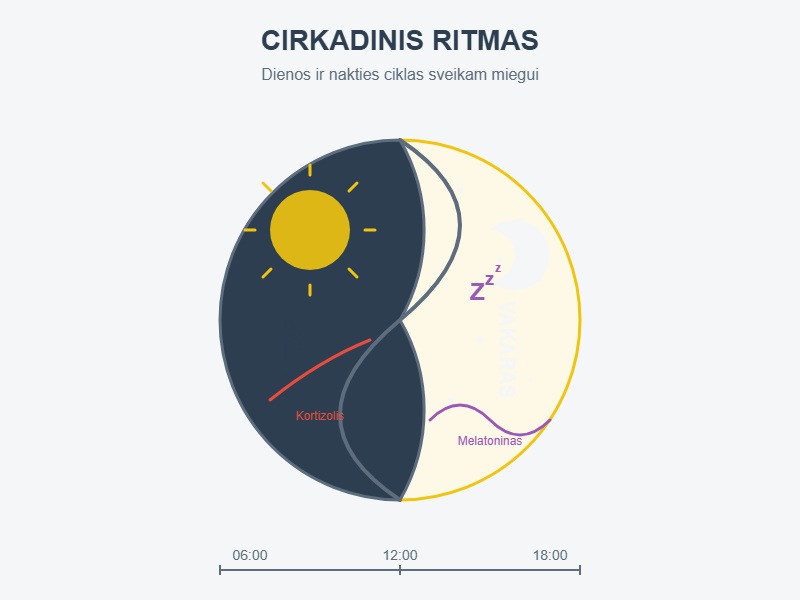 Miego Rutina: Kaip Prisijaukinti Sveiko Poilsio Įpročius