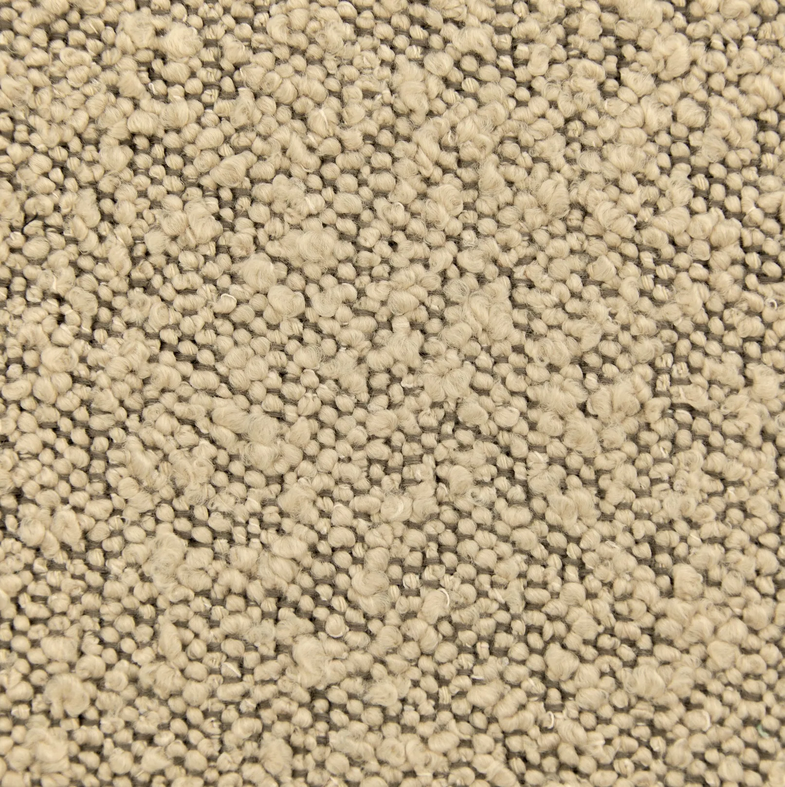Lovos audinys Ascot Champagne (Elastron, III grupė)
