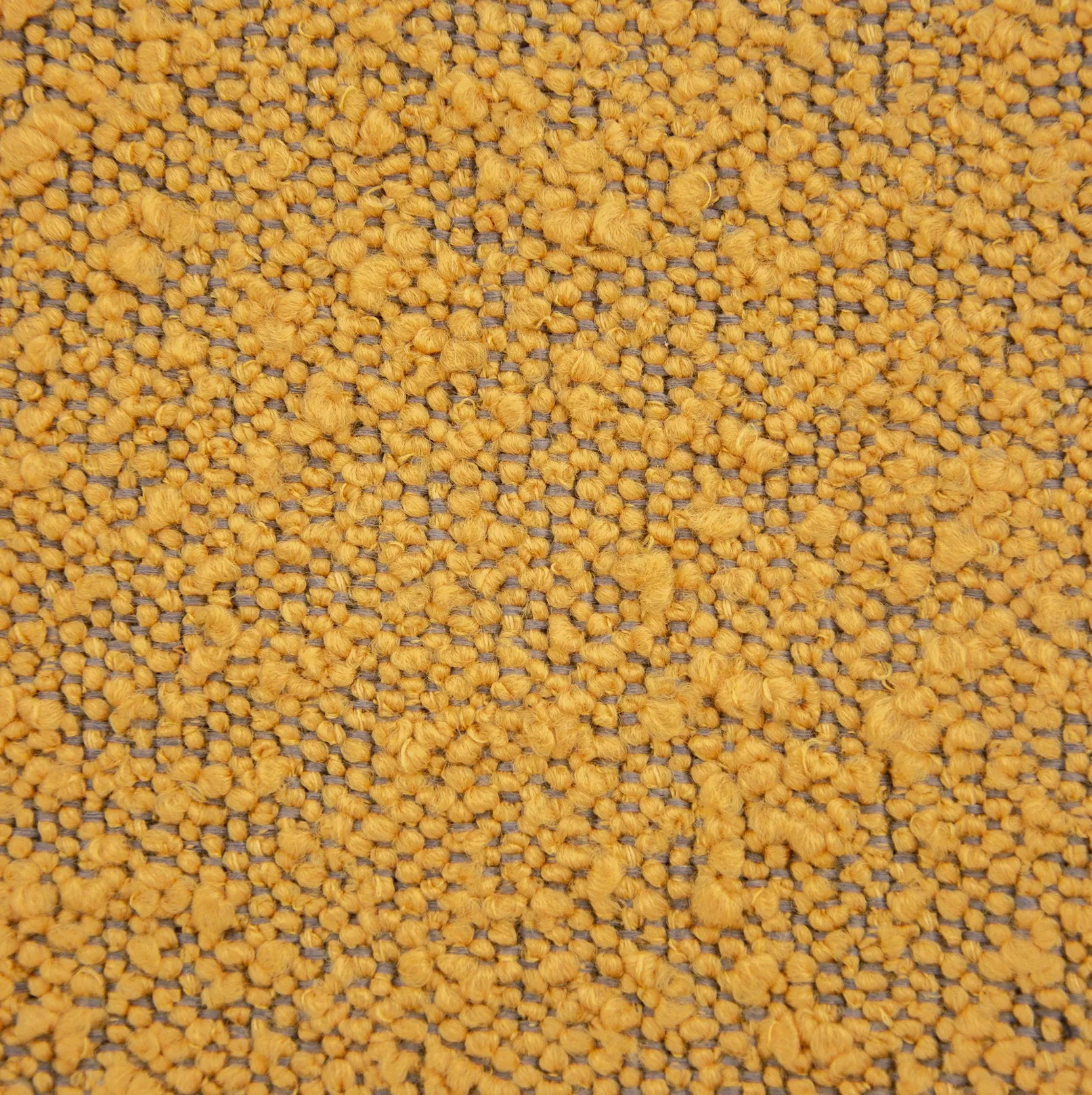 Lovos audinys Ascot Mostaza (Elastron, III grupė)